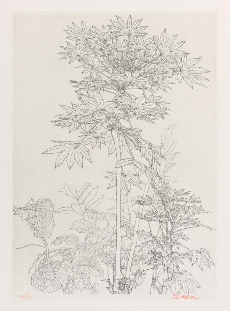 Szafran – Feuillages