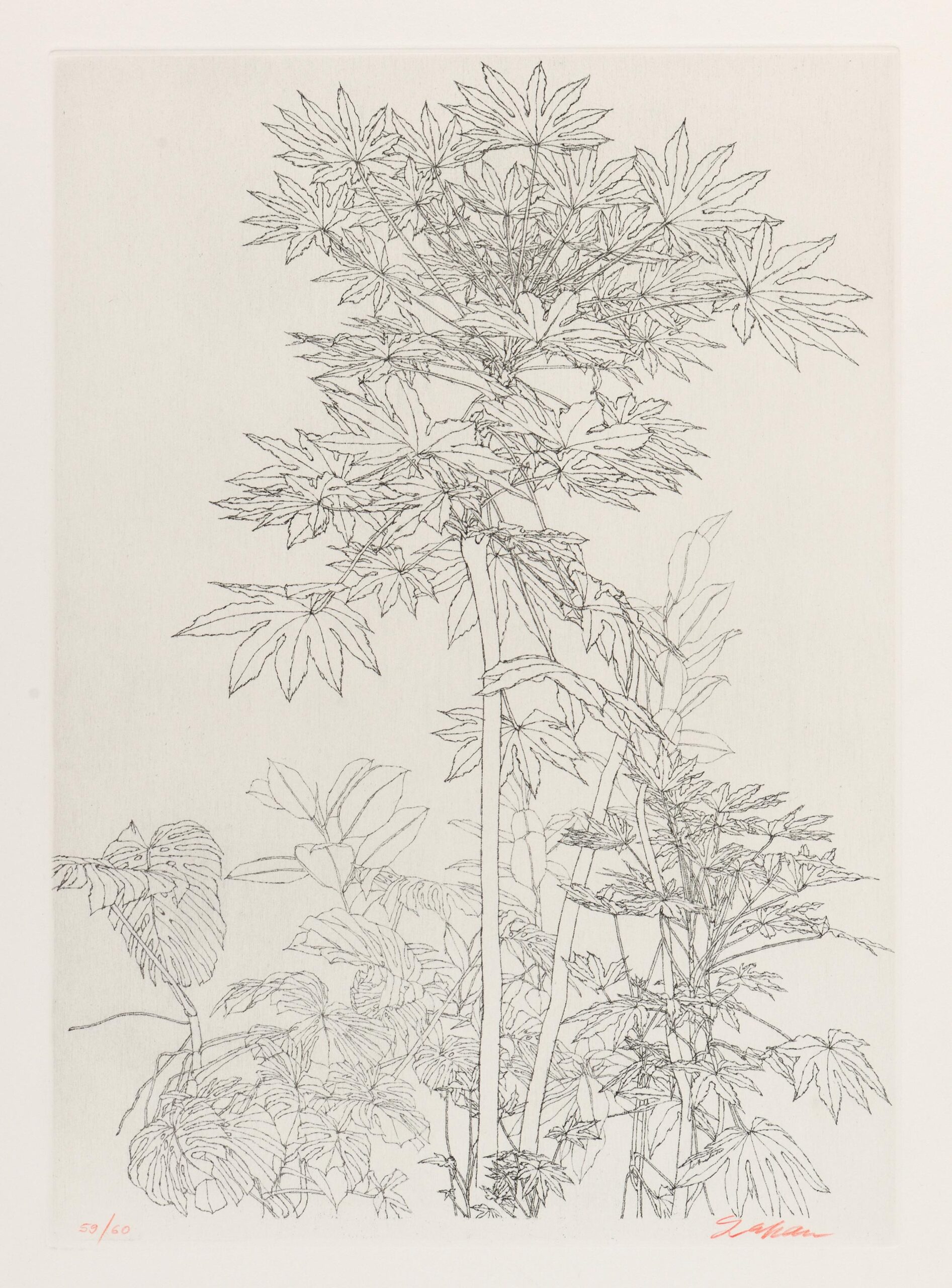 Feuillages (Foliages)