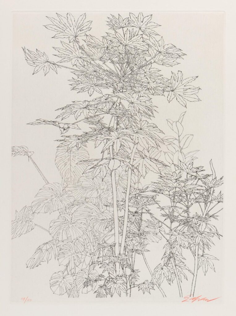 Szafran – Feuillages