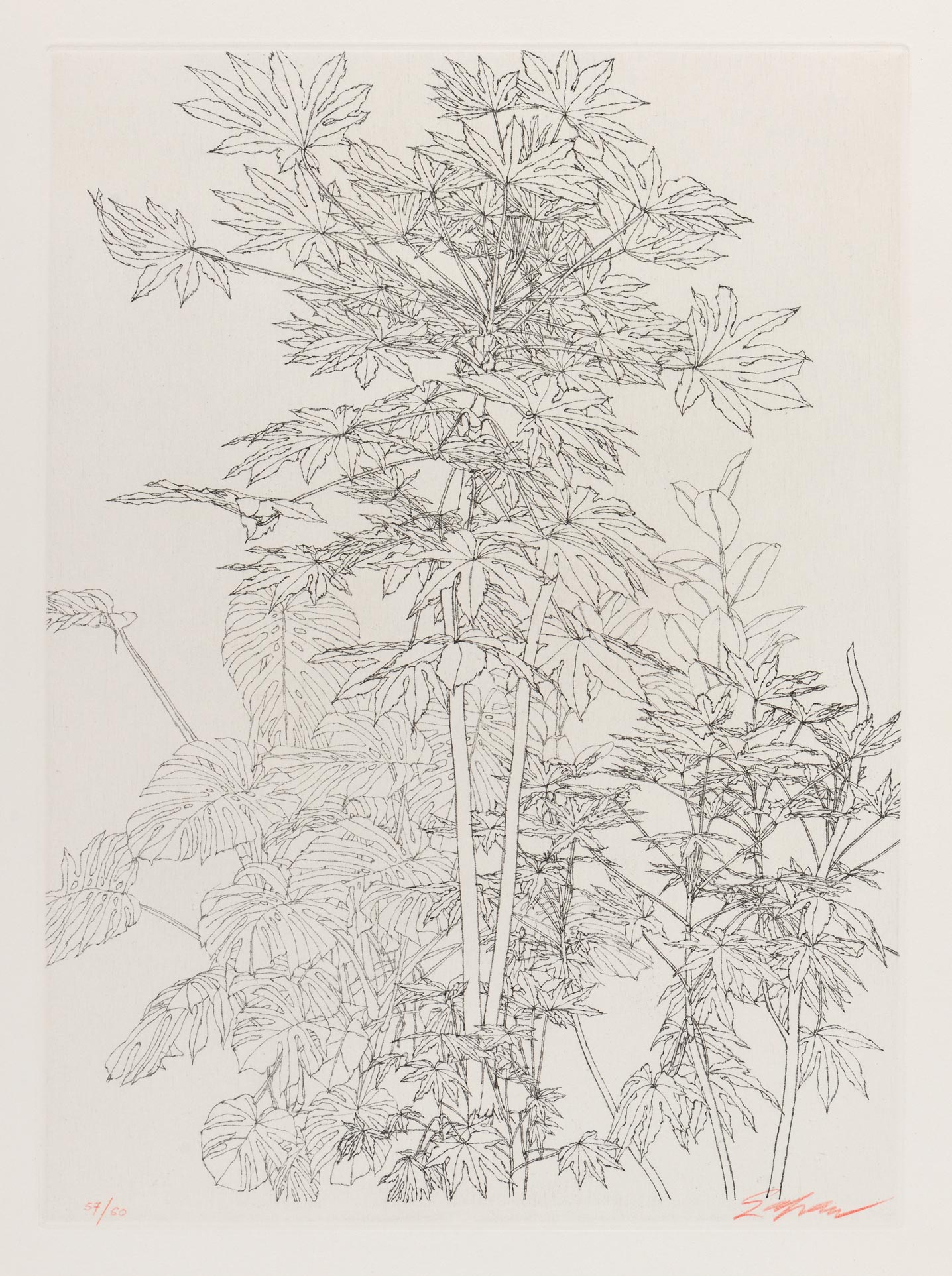 Feuillages (Foliages)