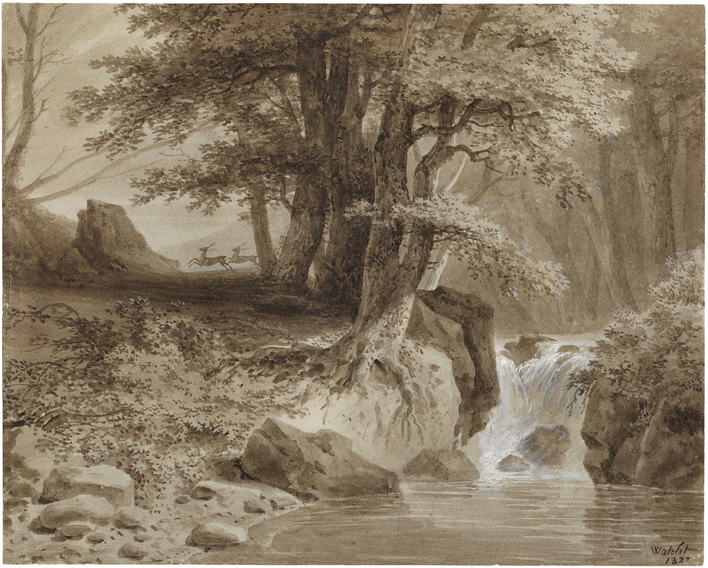 Paysage de sous-bois au ruisseau animé de deux cerfs