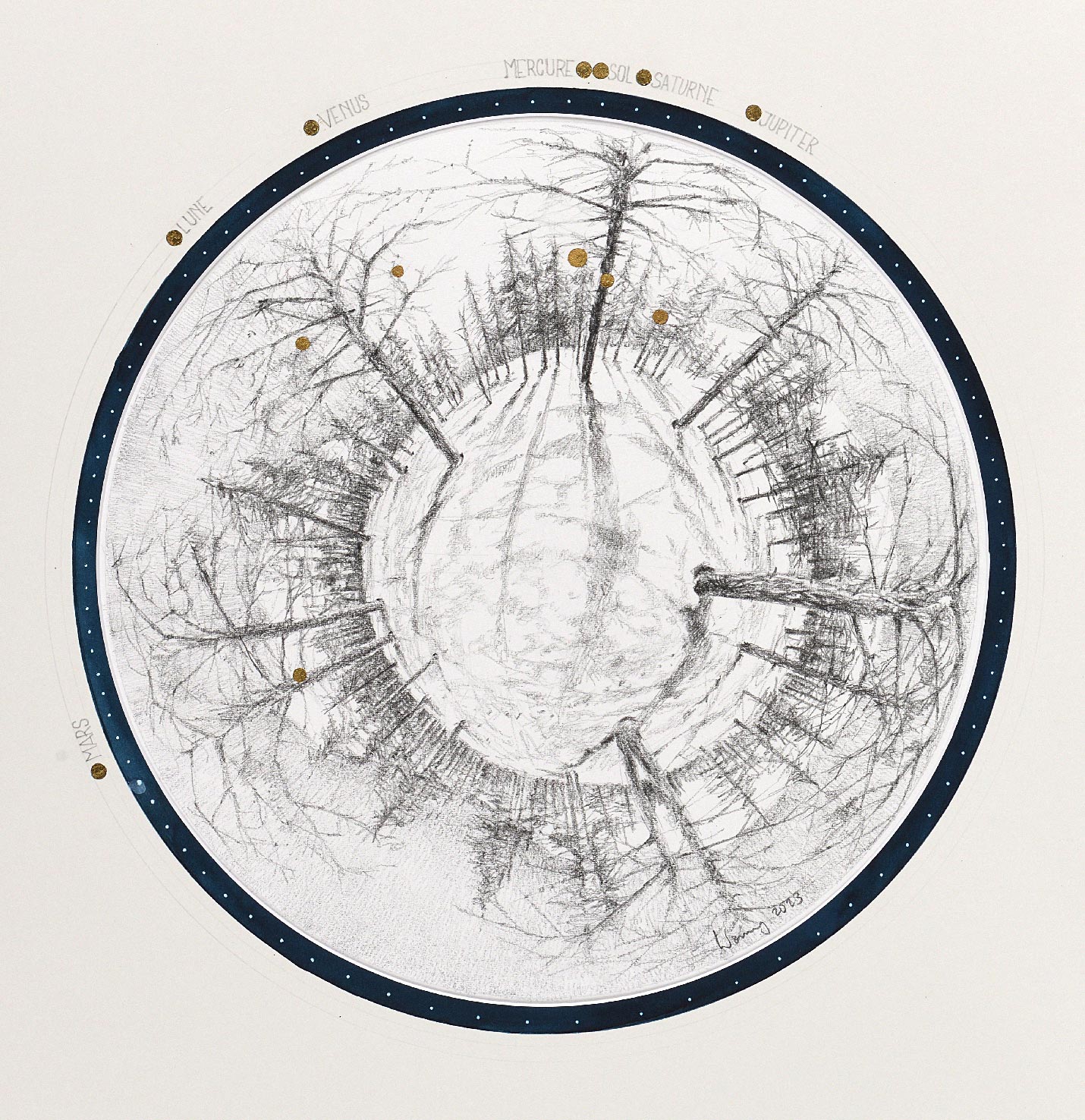 Forêt de Val d’Isère