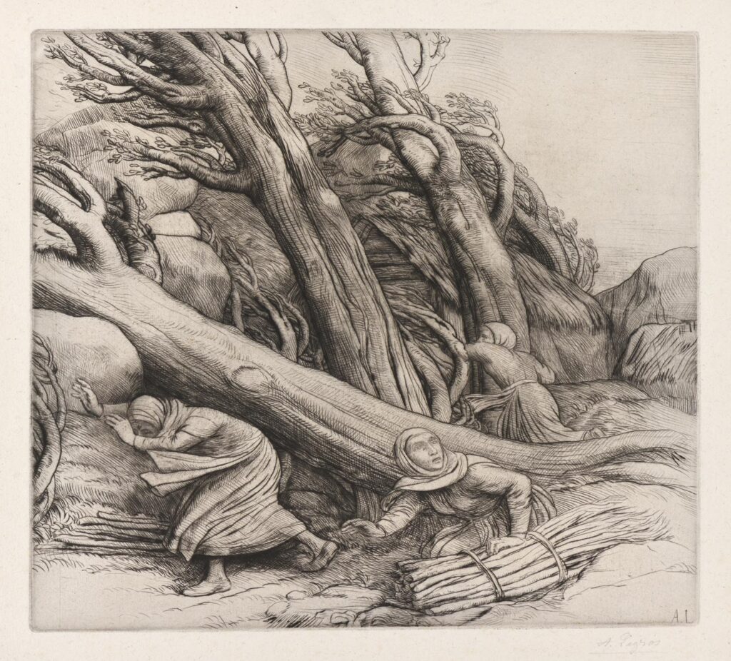 Legros – Le Typhon