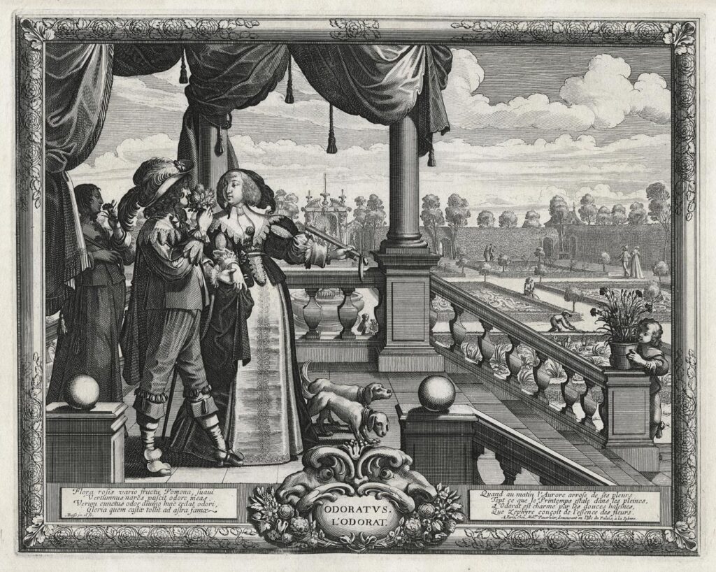 Bosse – L’Odorat