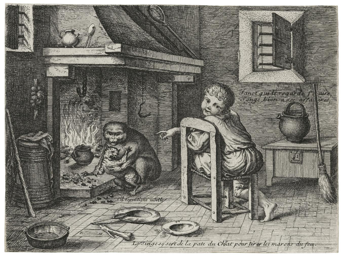 The Monkey and the Cat