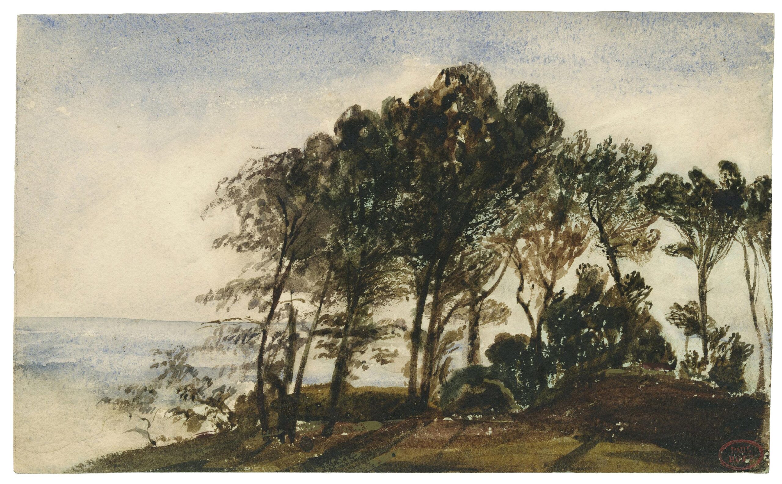 Tree on the Normandy coast