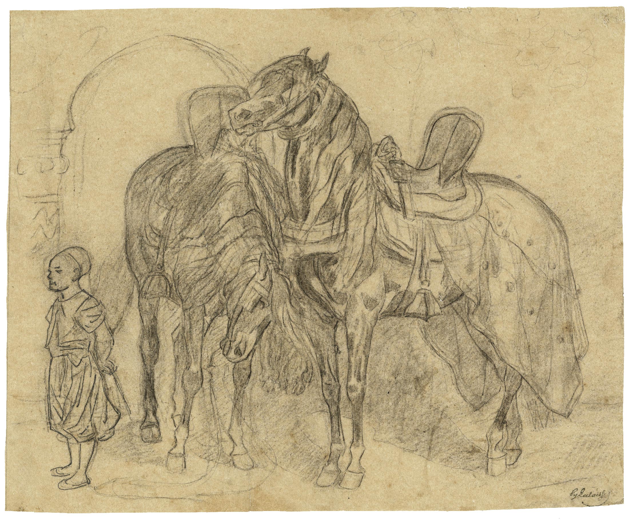 Two harnessed Arabian horses