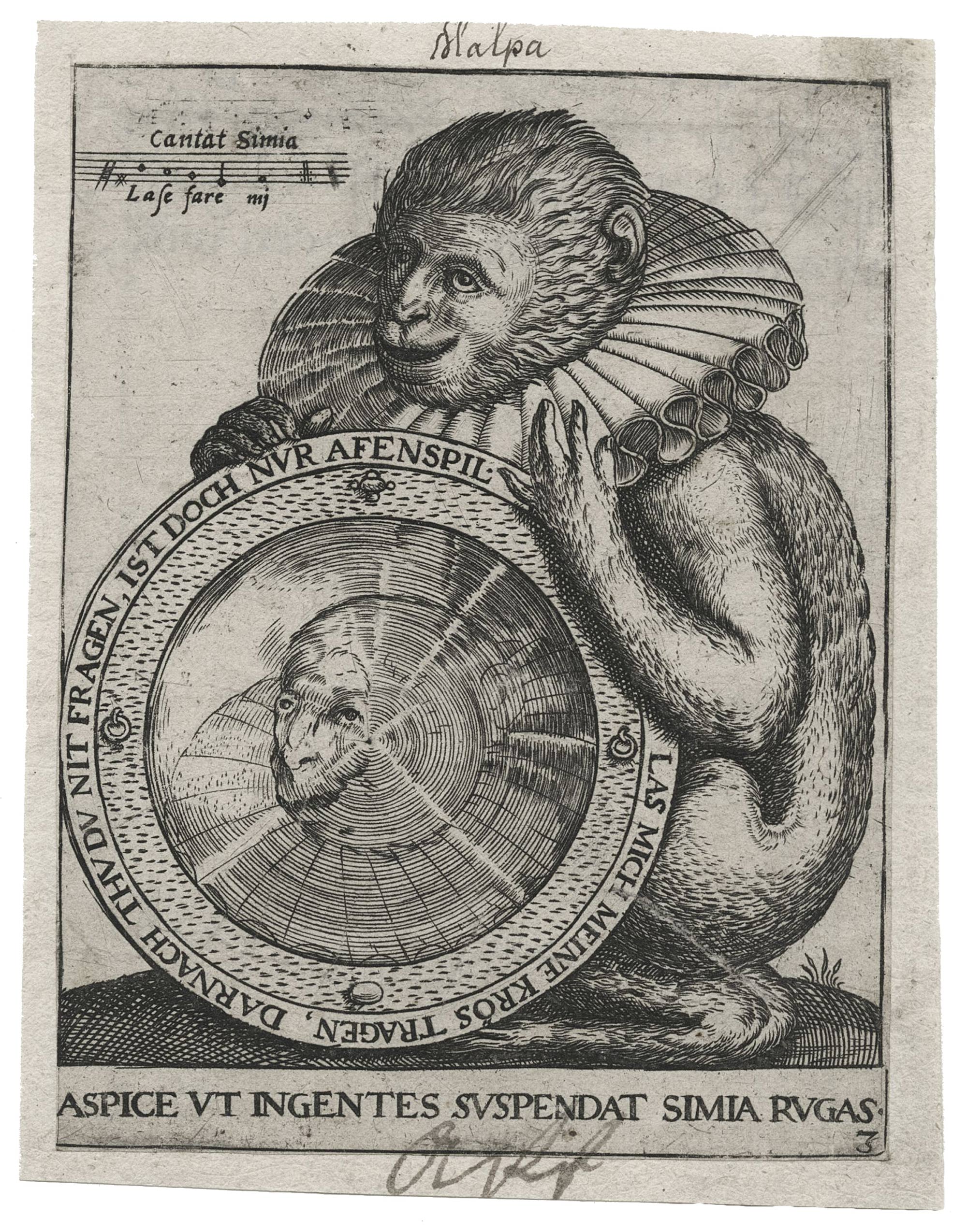 Singe avec un miroir