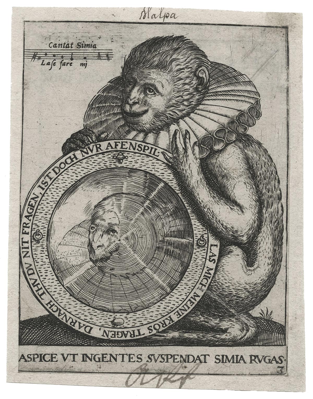 Monkey with a mirror