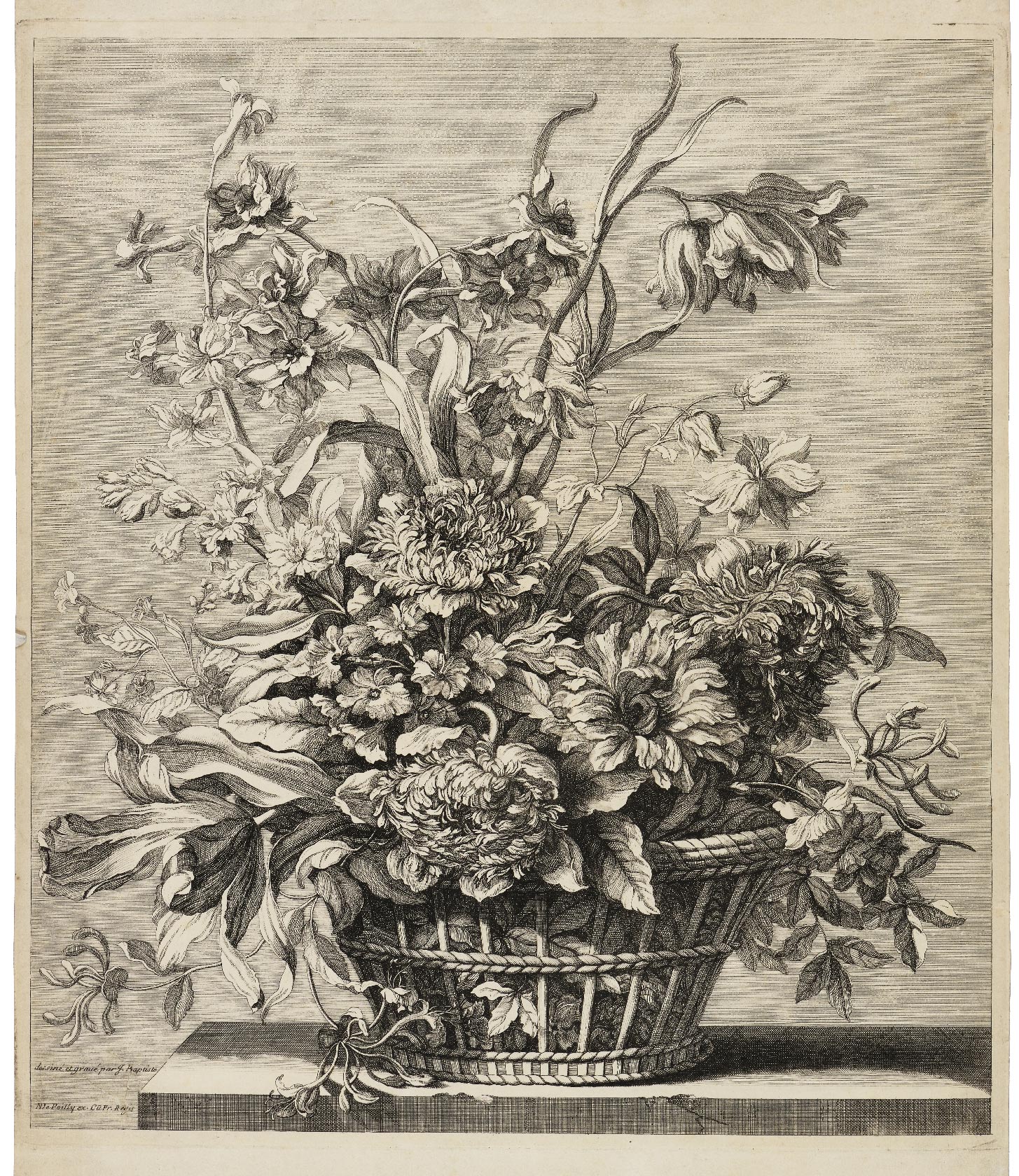 Jacinthe, narcisses, anémones et chèvrefeuille