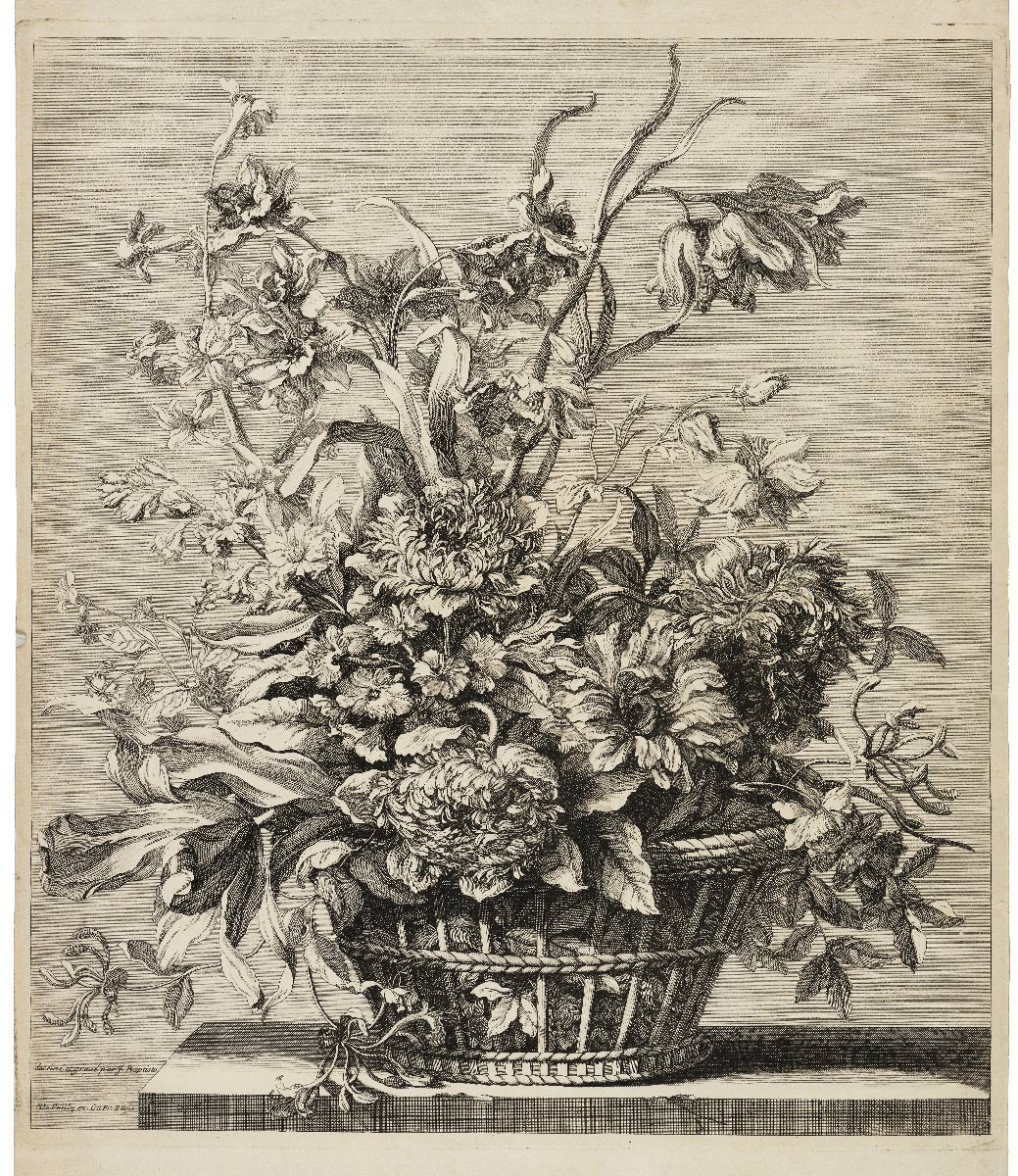 Jacinthe, narcisses, anémones et chèvrefeuille