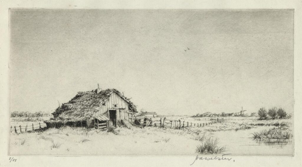 Webster – La Cabane