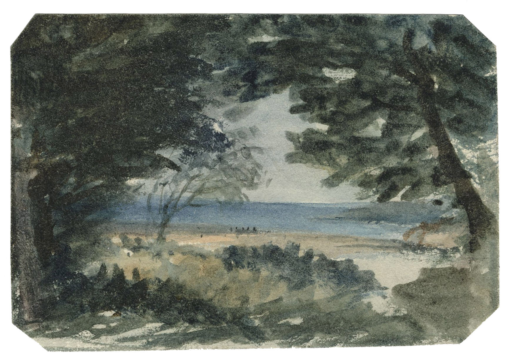 Paysage côtier, vu entre deux arbres