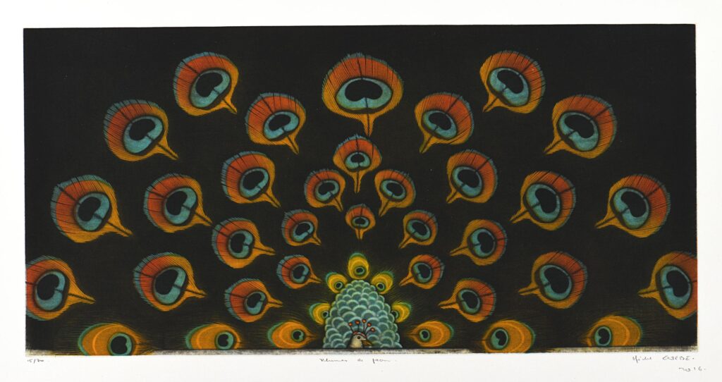 Estèbe – Plumes de paon