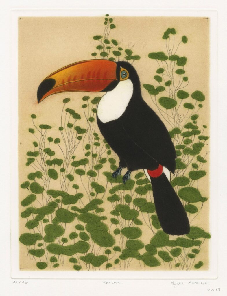 Estèbe -Toucan
