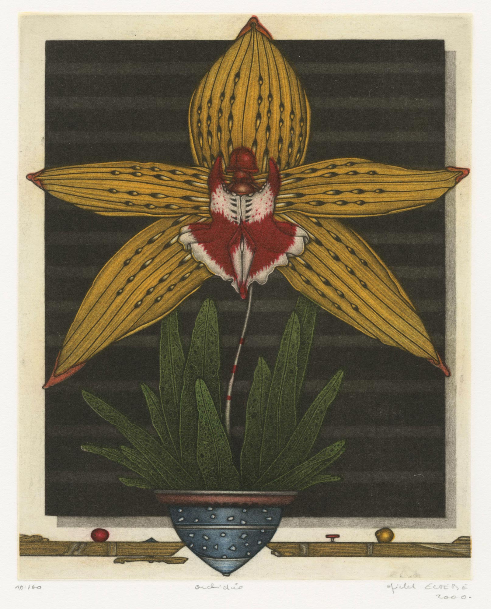 Estèbe – Orchidée