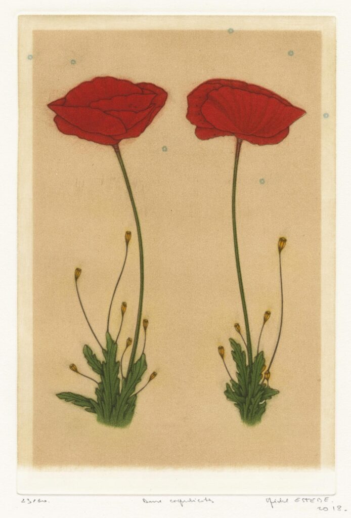 Estèbe – Deux coquelicots