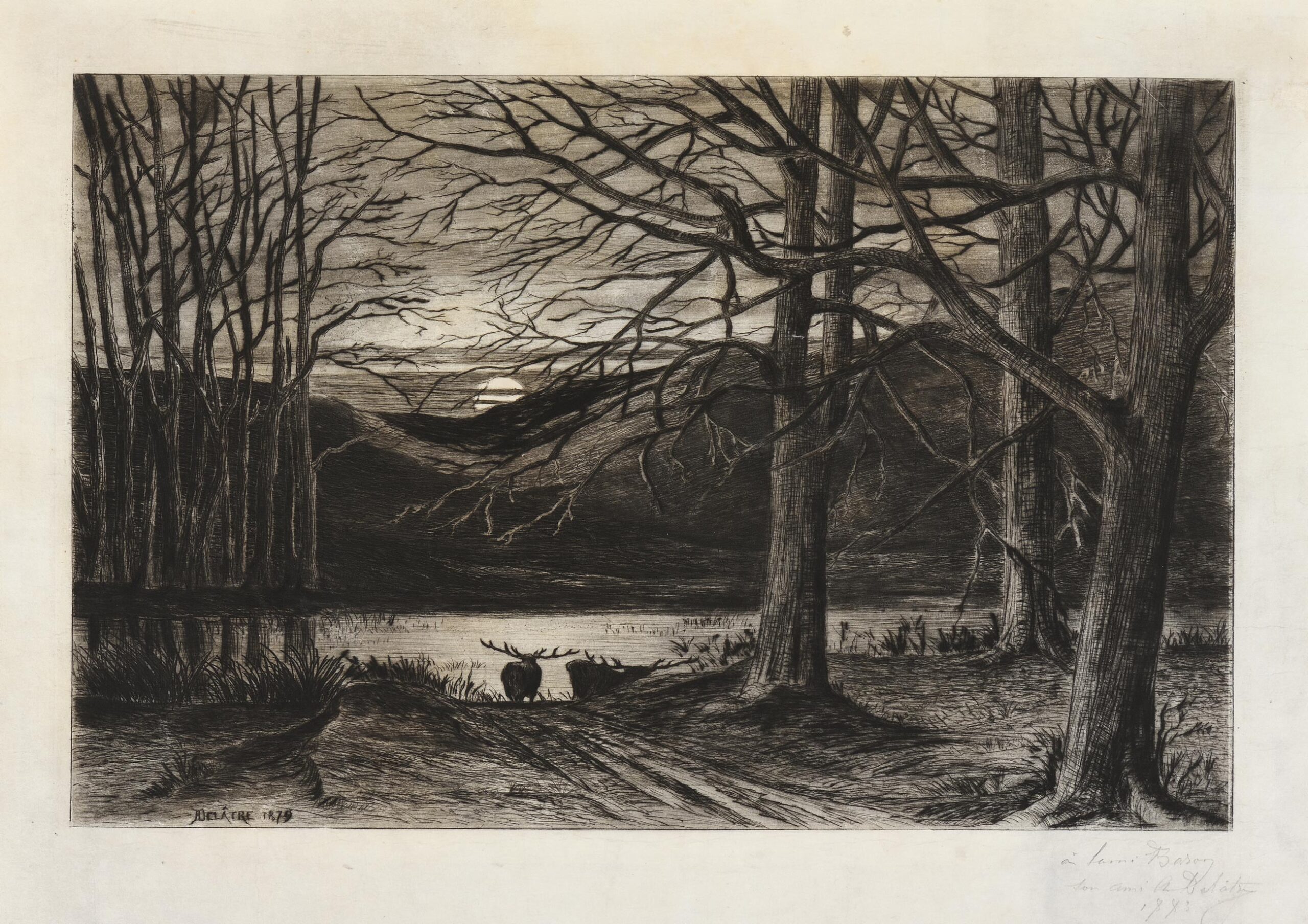 Cerf au clair de lune