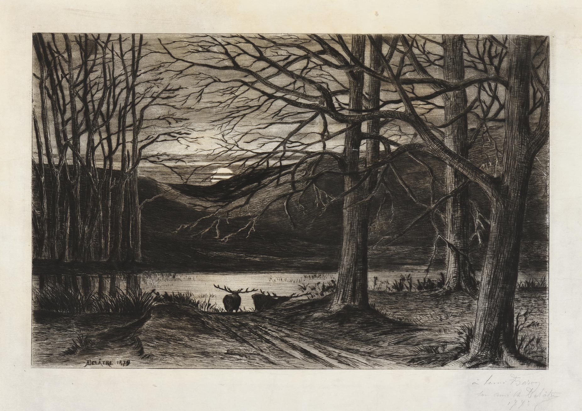 Cerf au clair de lune