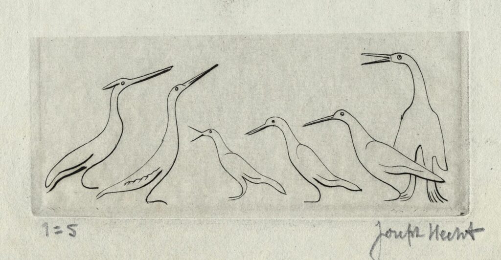 Hecht – Oiseaux de Madagascar