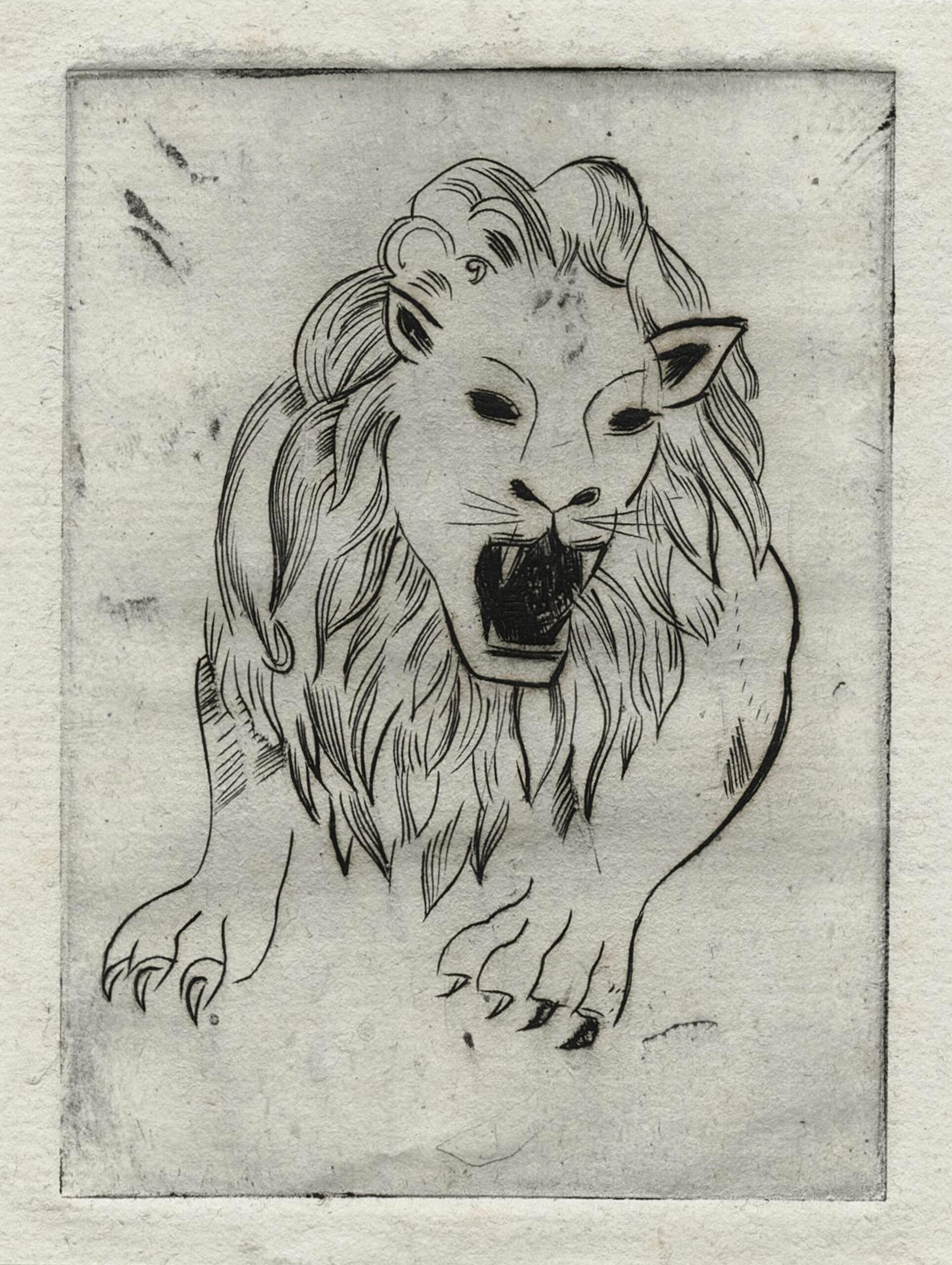 Lion