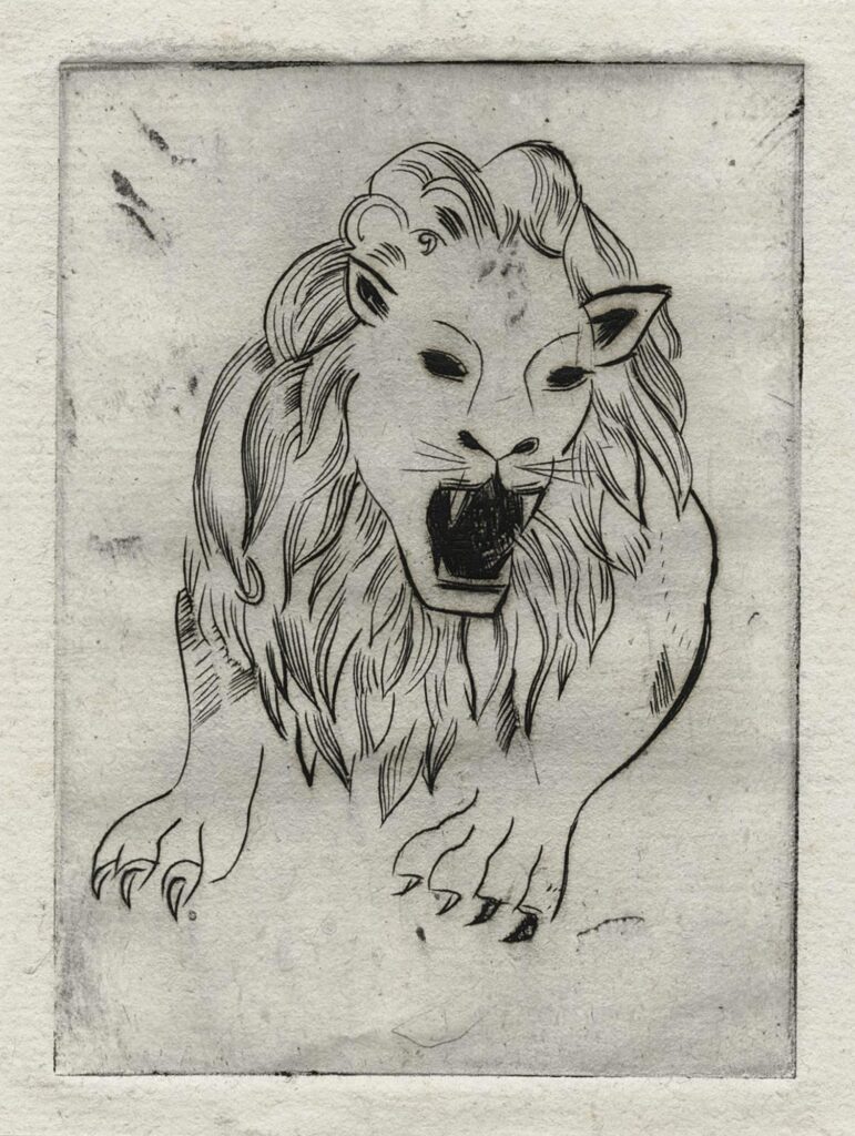 Hecht – Lion