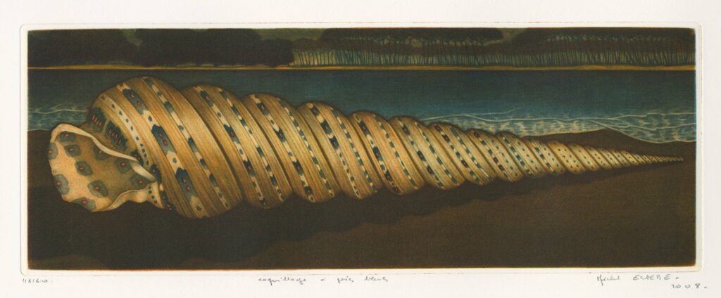 Estèbe – Coquillage à points bleus