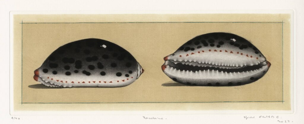 Estèbe – Porcelaine