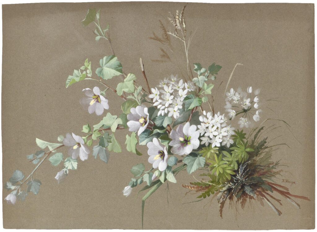 Vouga – Bouquet de mauves, aspérule odorante, fougère et épi de graminée