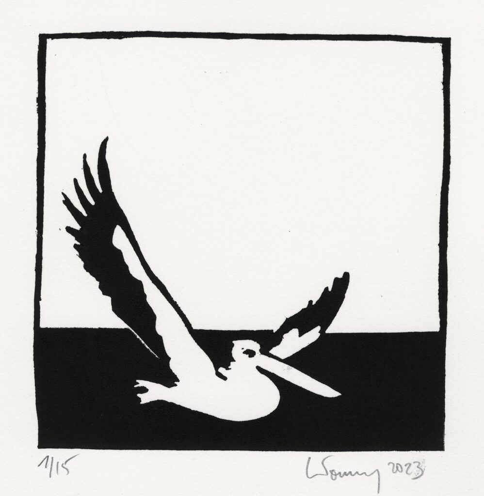 Letourmy – Pélican