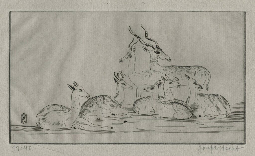 Hecht – Gazelles et biches I