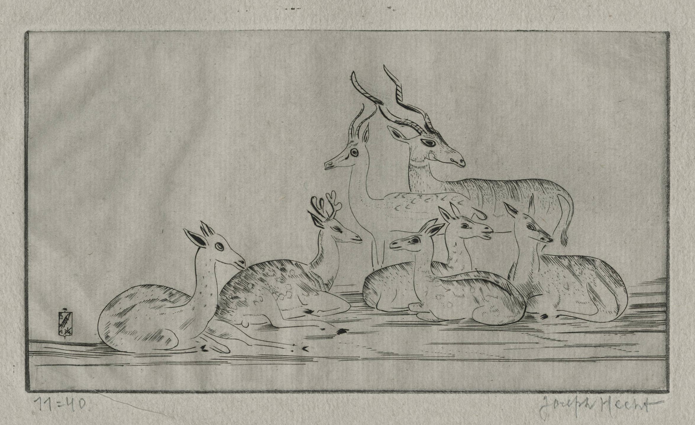 Gazelles et biches I