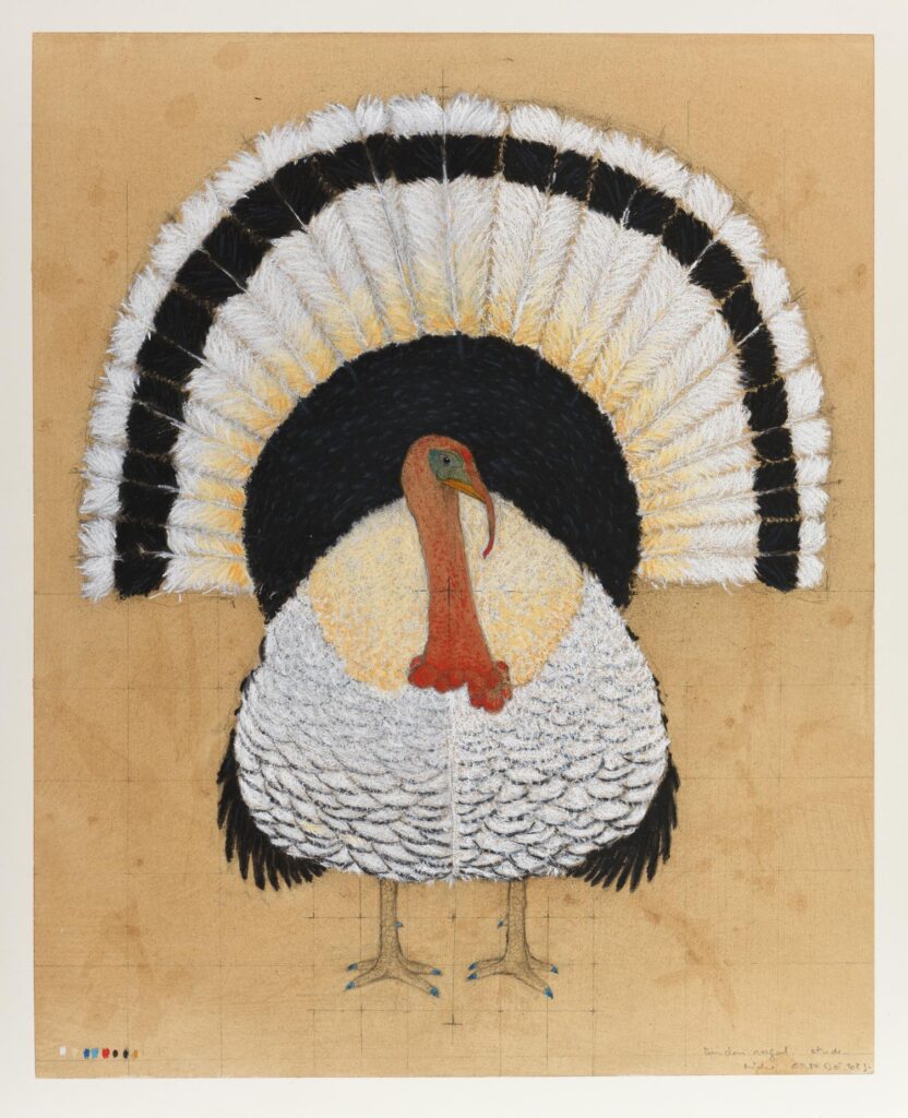 Estèbe – Etude pour un dindon royal