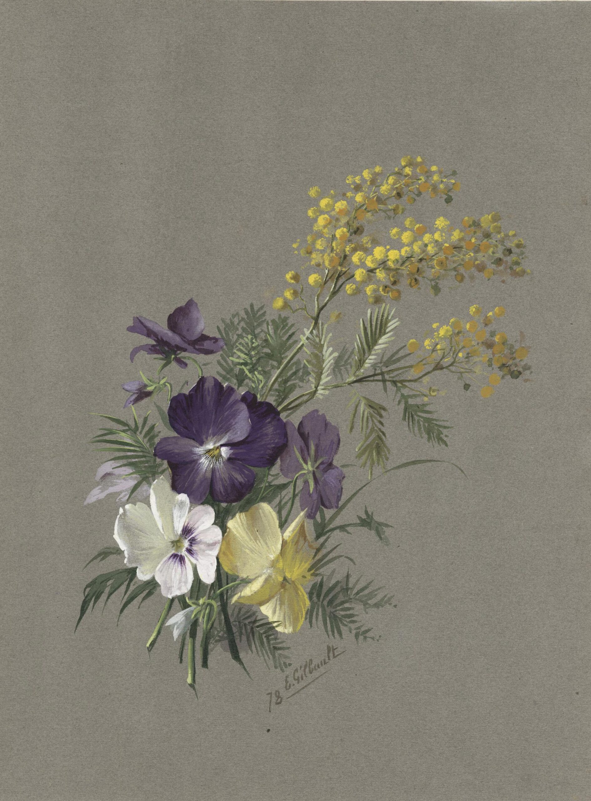 GILBAUT Joseph Eugène — Pensées et branches de mimosa