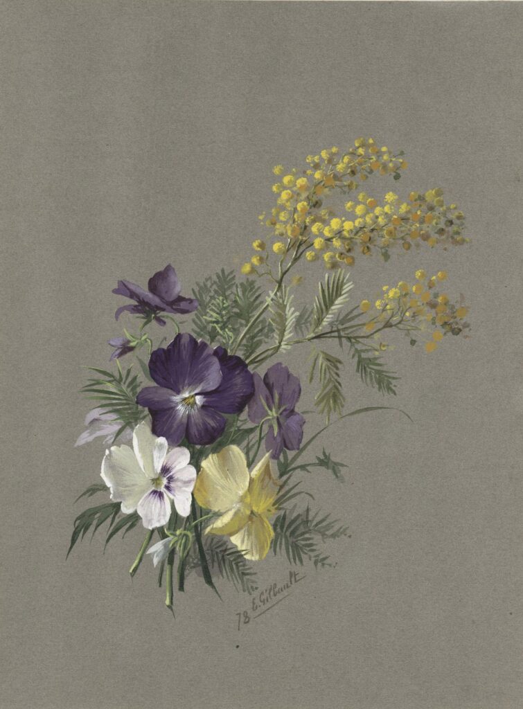 Gilbaut – Pensées et branches de mimosa