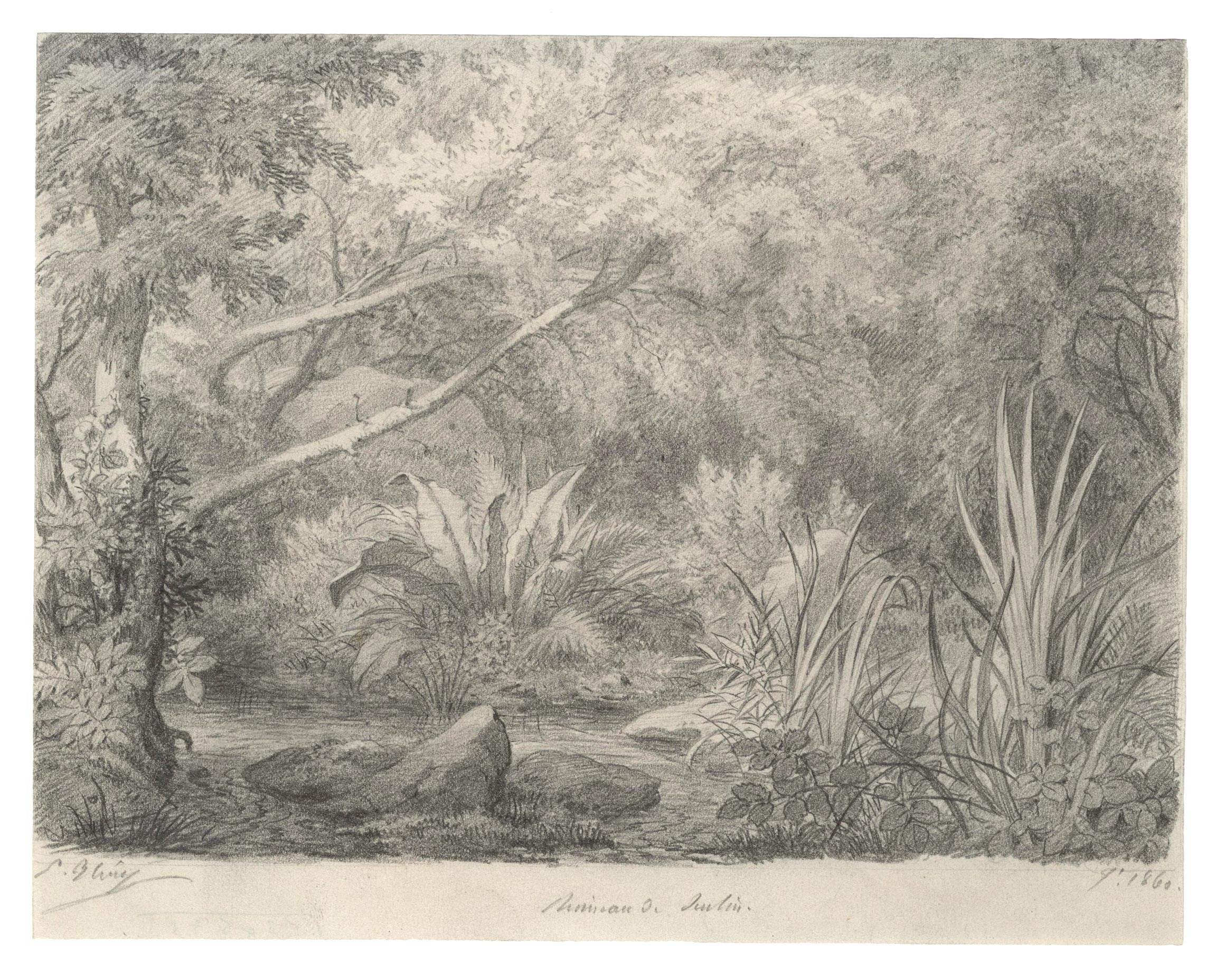 Le ruisseau aux deux arbres penchés