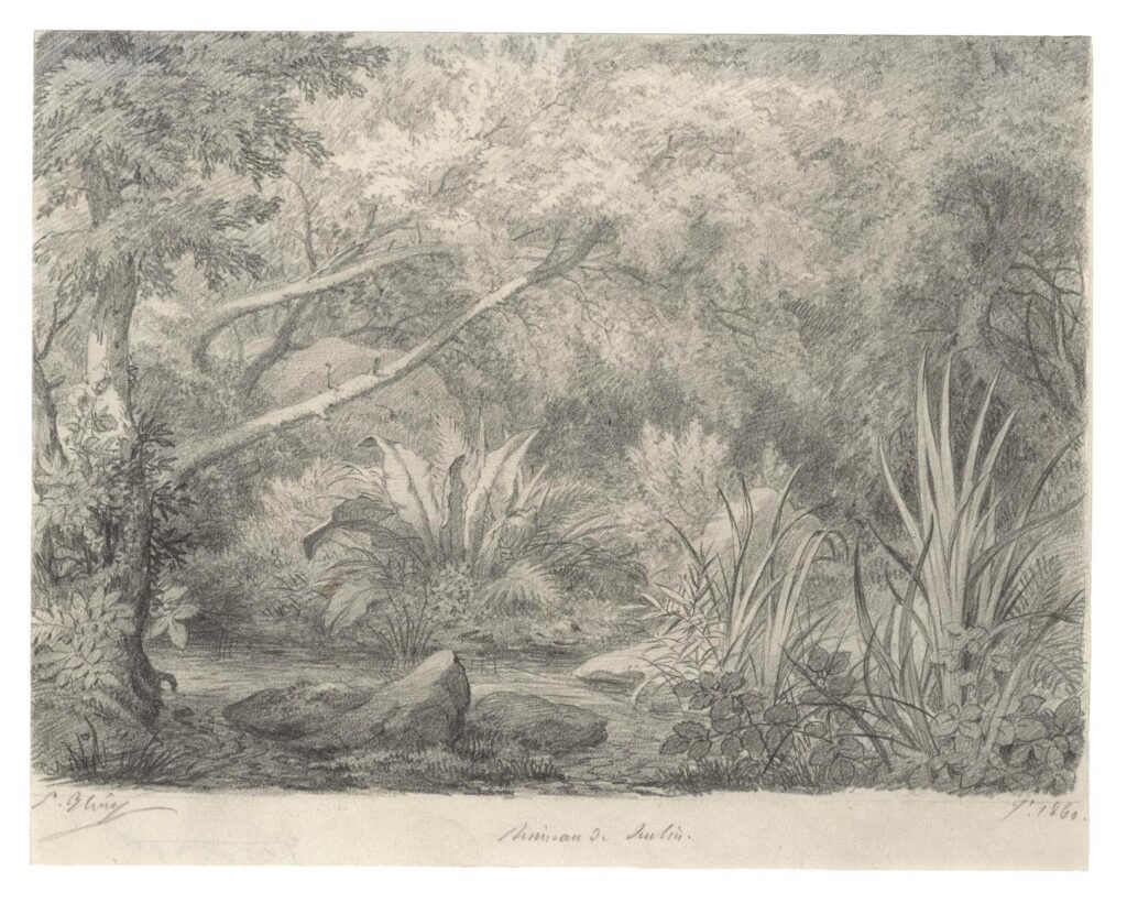 Bléry – Le ruisseau aux deux arbres penchés