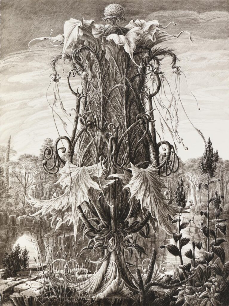 Houtin – Fleur fantastique dans un paysage pittoresque