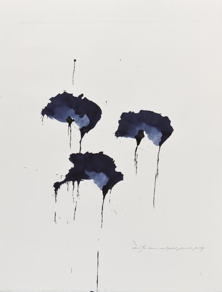 Labrunie – Série Coquelicot, minuit