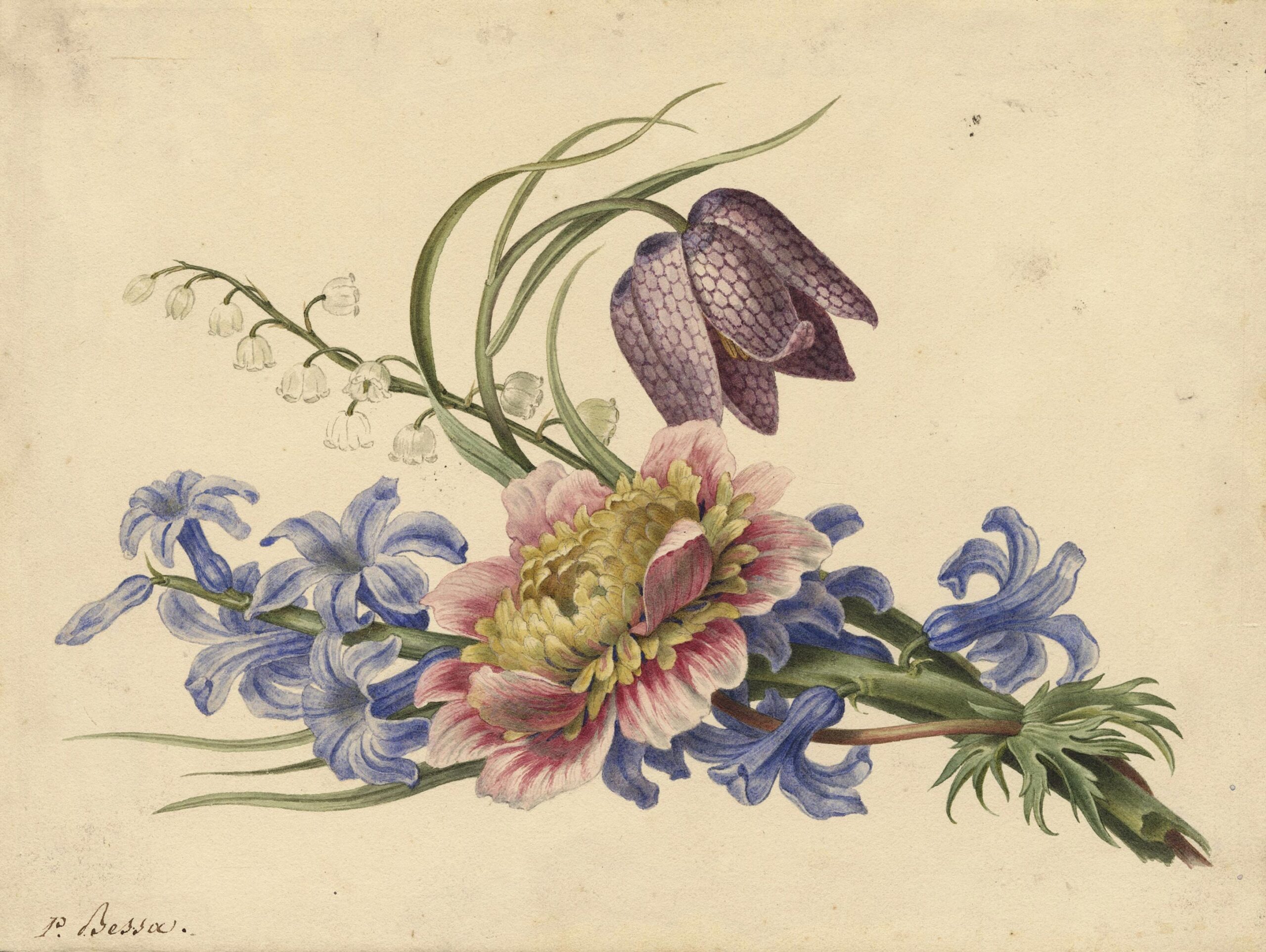 Branches de muguet, jacinthe, fritillaire pintade et renoncule double