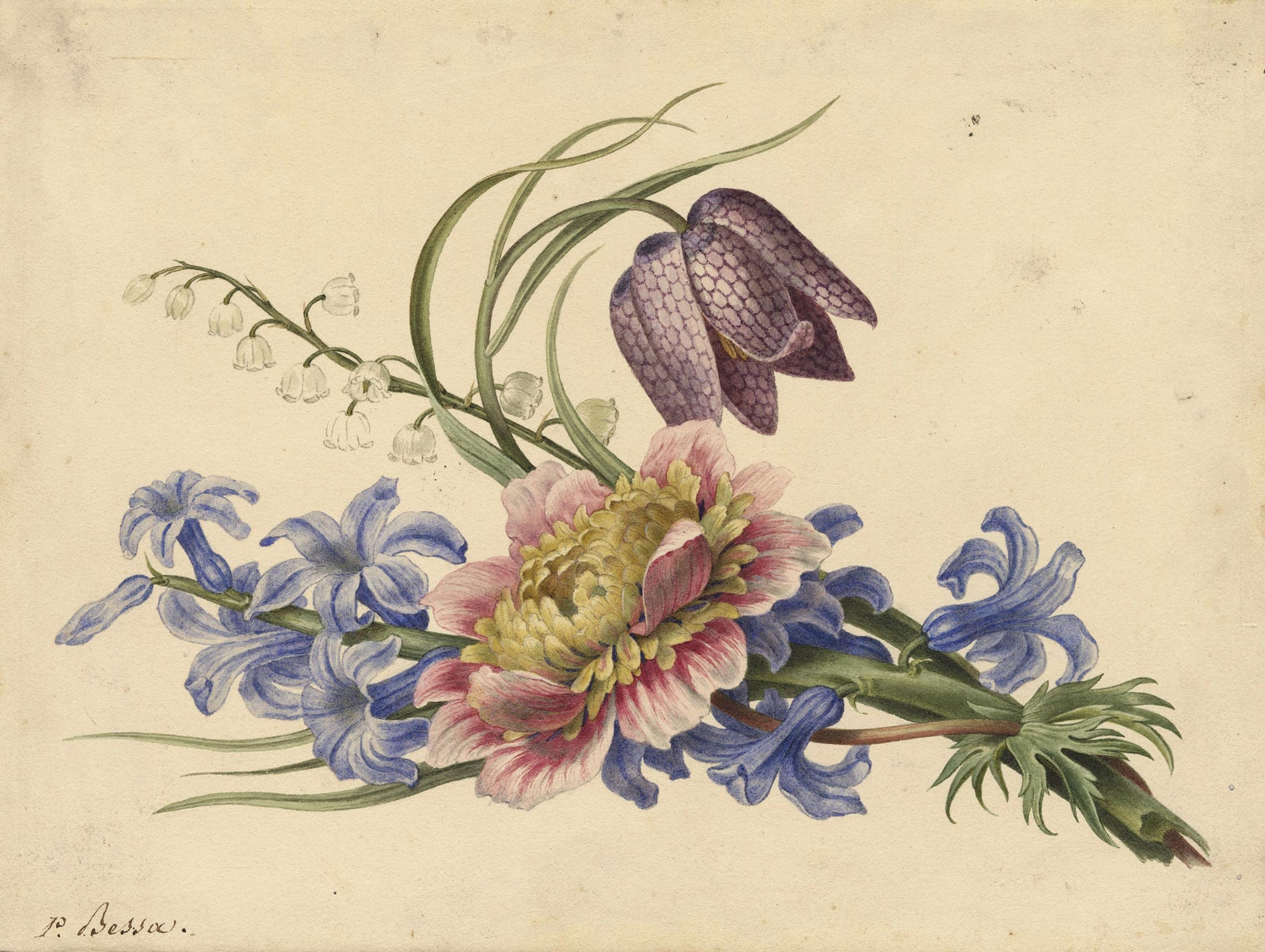 Branches de muguet, jacinthe, fritillaire pintade et renoncule double