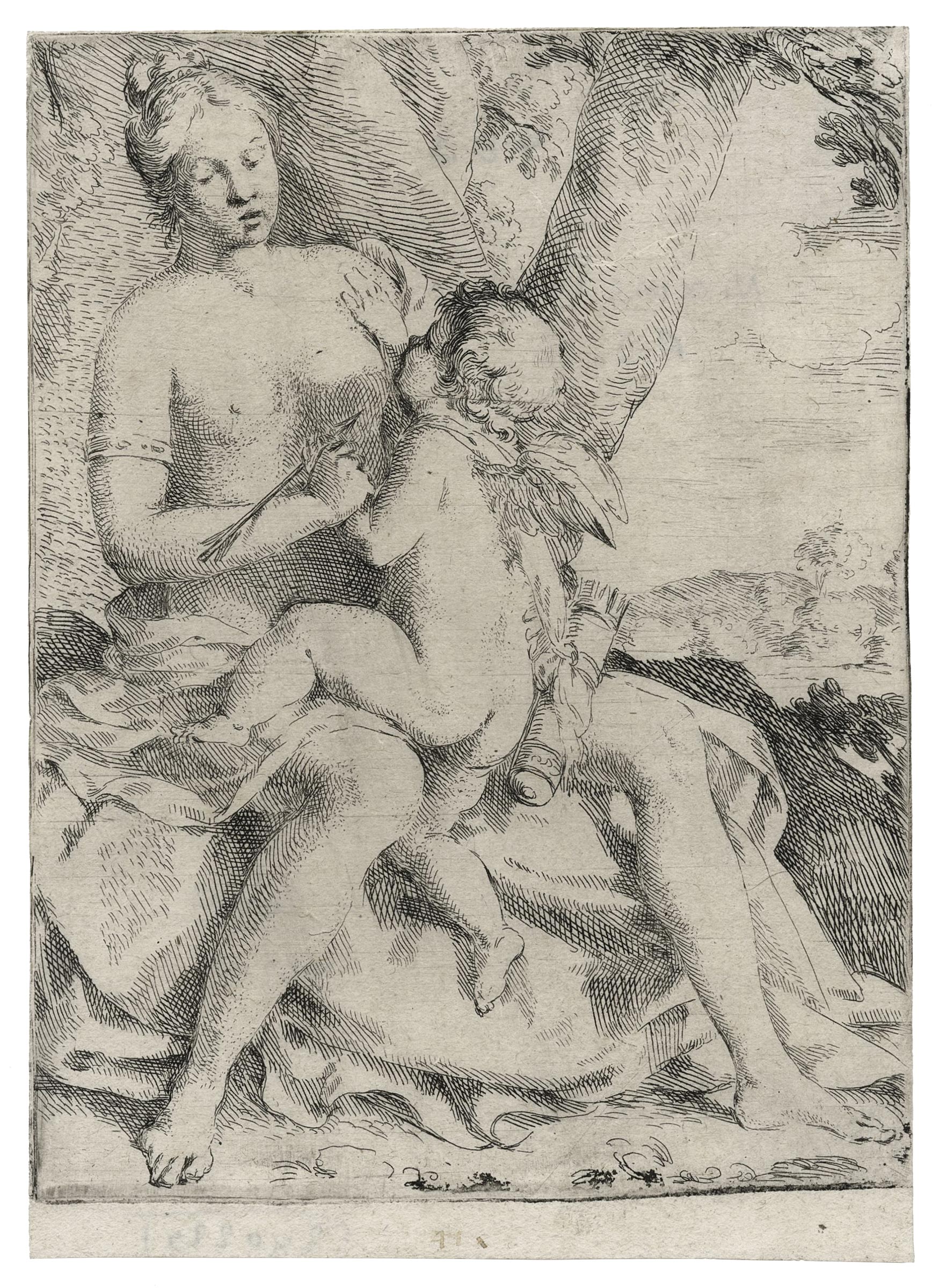 Vénus et Cupidon