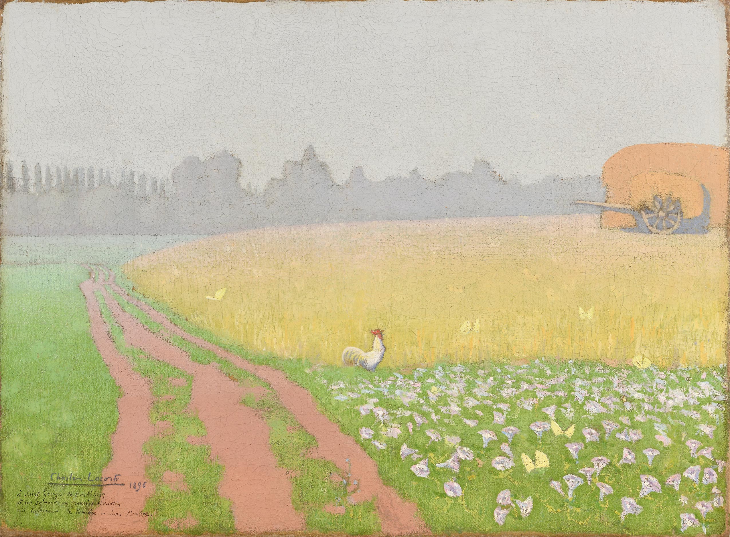 Un coq aux abords d’un sentier et d’un champ