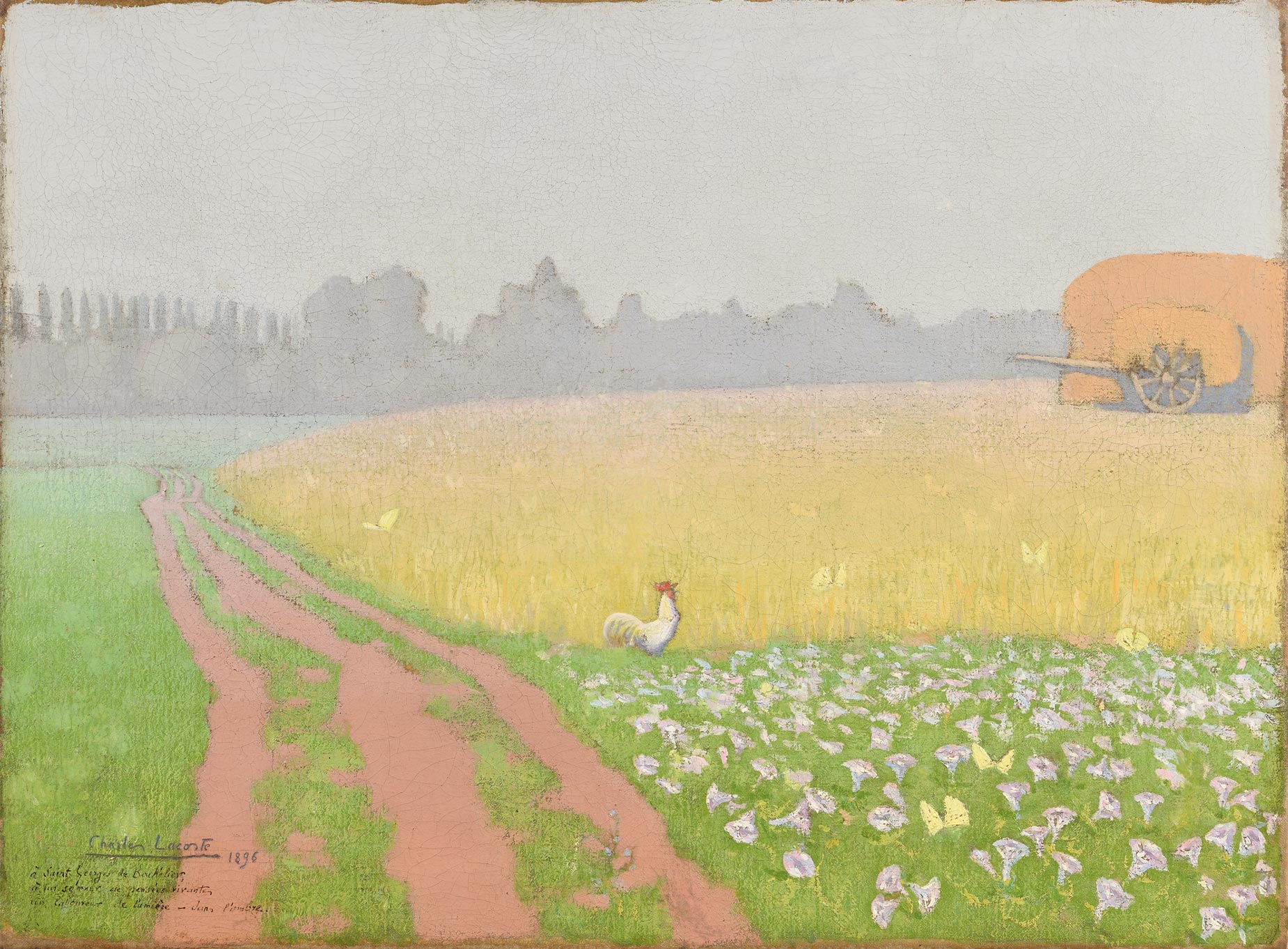 A rooster on the edge of a path and a field