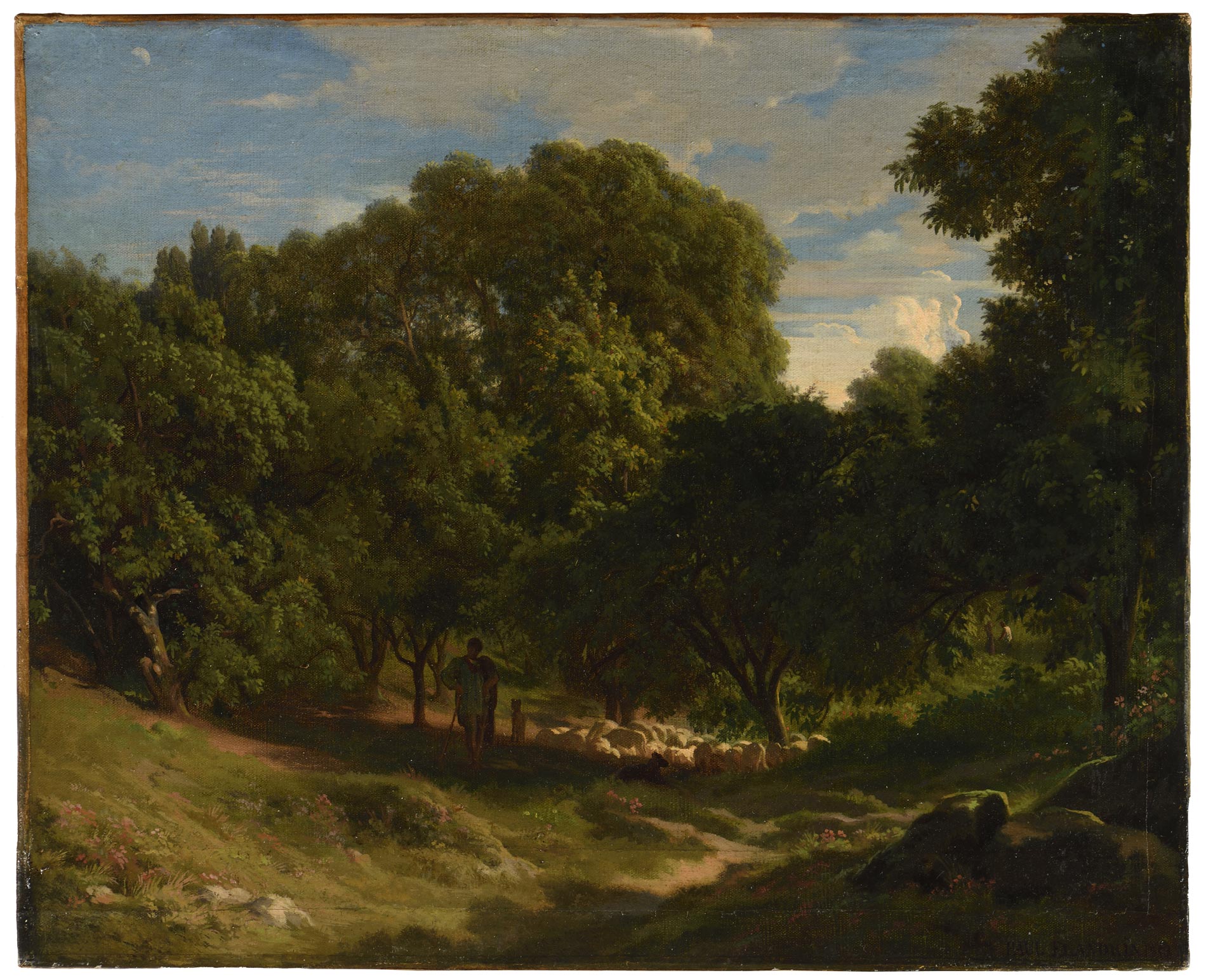 Bucolic landscape