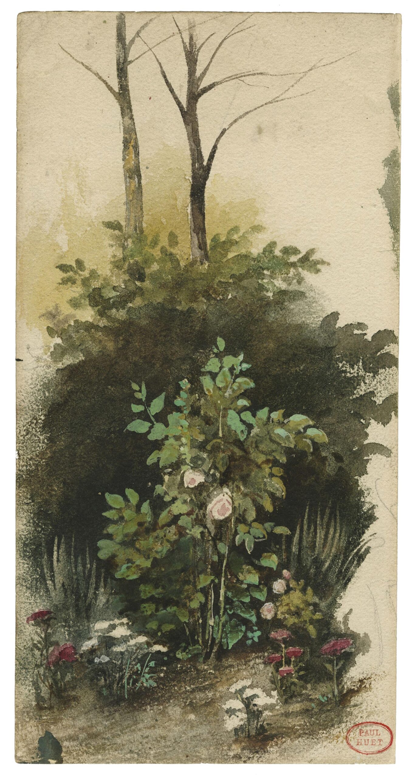 A corner of my garden