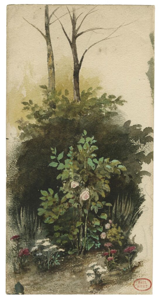 Huet – Un coin de mon jardin