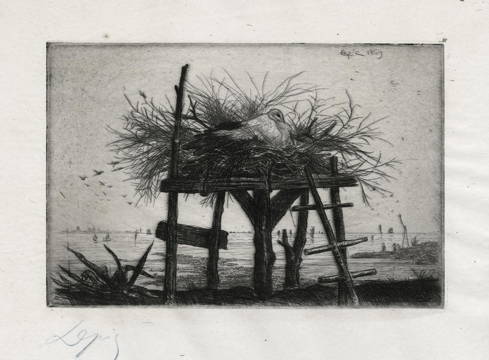 A stork's nest in Holland