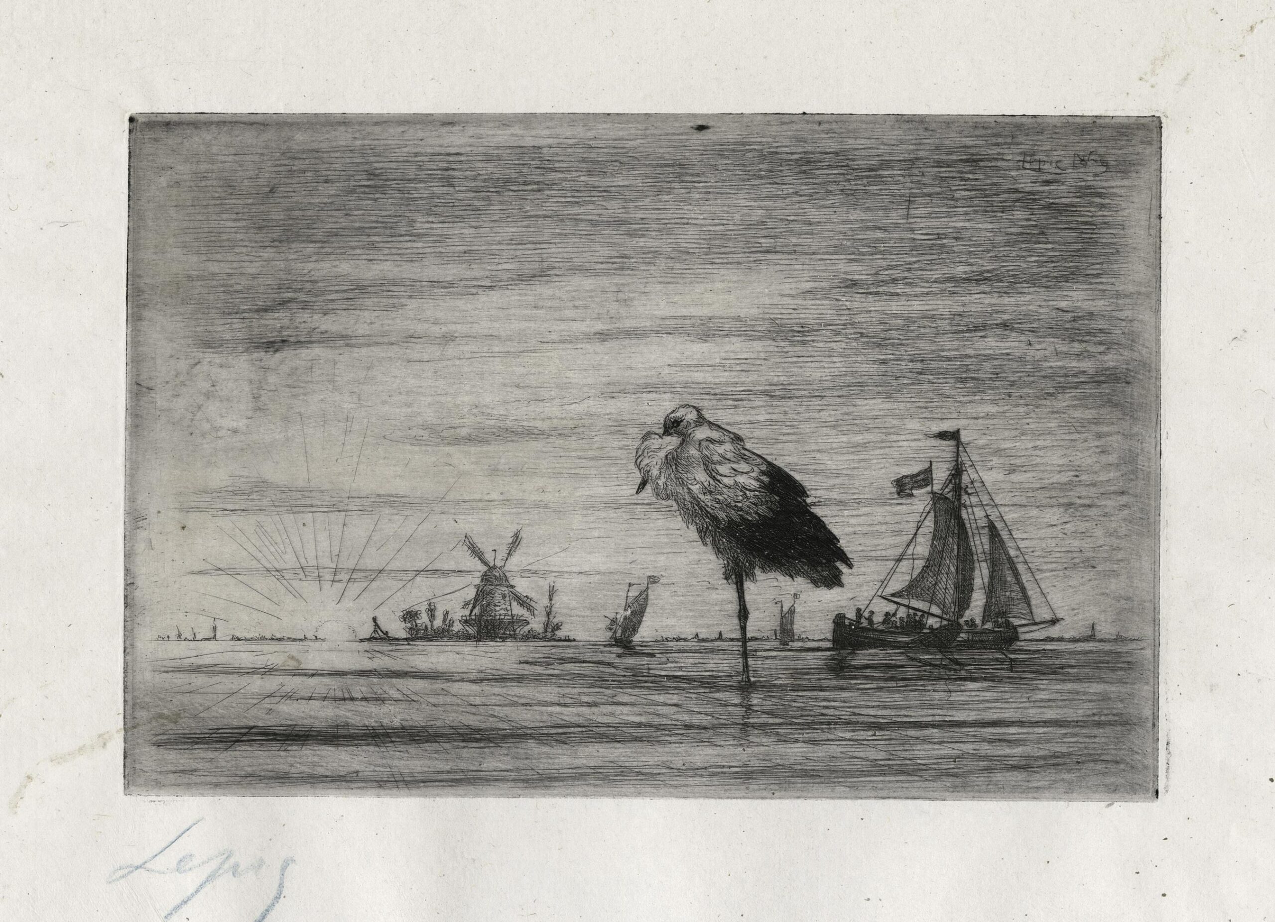 Cigogne au coucher de soleil, en Hollande