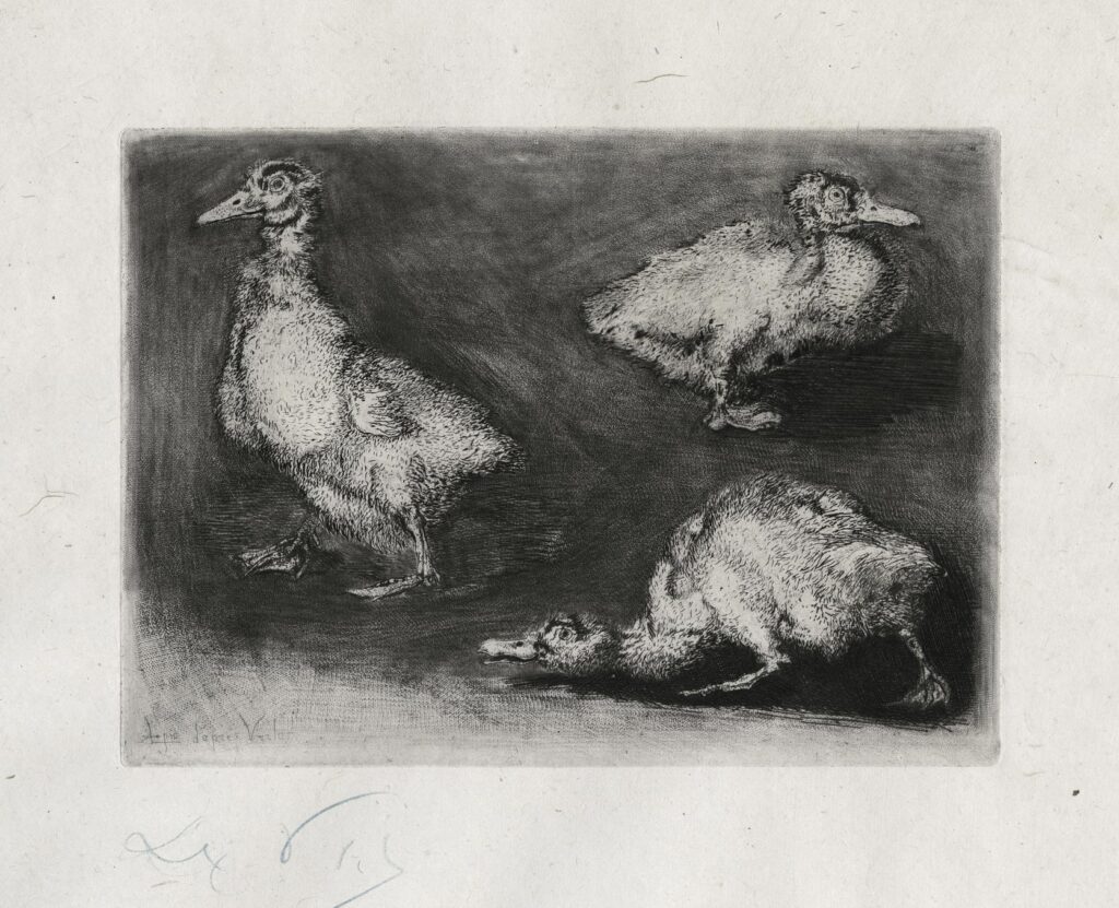 Lepic – Trois canetons